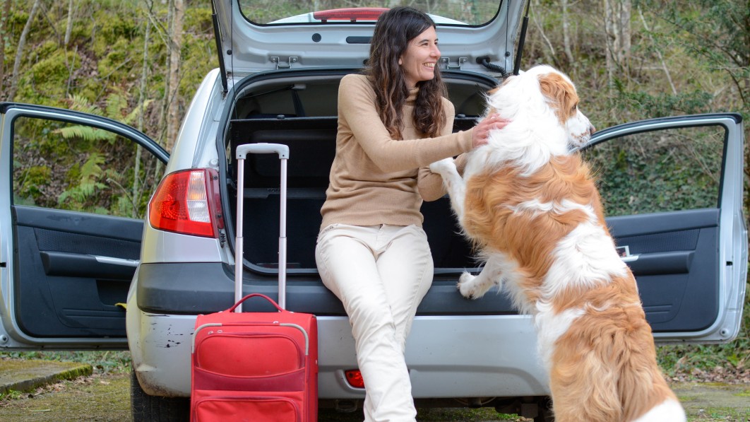 Celebrate National Pet Day by taking your furry best friend on a road trip – here’s what you’ll need