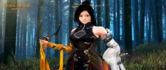 В Black Desert Mobileв Black Desert Mobile можно предсоздать персонажа нового класса Лан